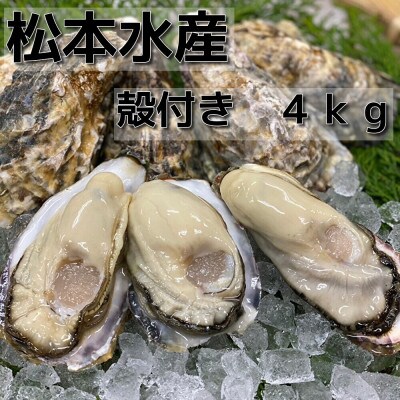坂越かき　殻付き42～48個