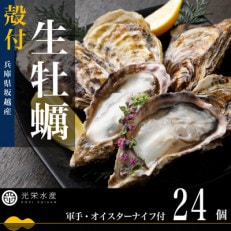 【生食OK】坂越かき 殻付き生牡蠣 24個 軍手・オイスターナイフ付き