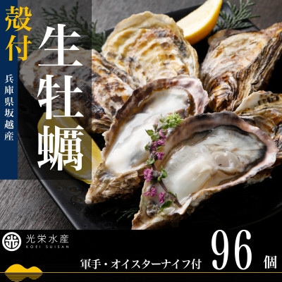 【生食OK】坂越かき 殻付き生牡蠣 96個 軍手・オイスターナイフ付き