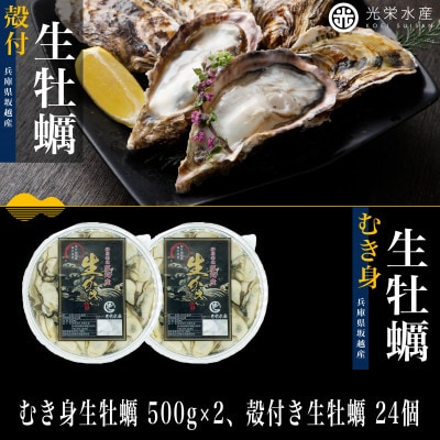 【生食OK】坂越かき 剥き身生牡蠣 500g×2、殻付き生牡蠣 24個 軍手・オイスターナイフ付き