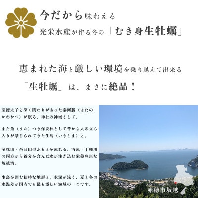 【生食OK】坂越かき 剥き身生牡蠣 500g×2、殻付き生牡蠣 24個 軍手・オイスターナイフ付き