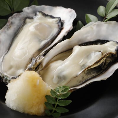 生食OK 坂越かき 殻付き生牡蠣12個入り×2パック【冷凍】