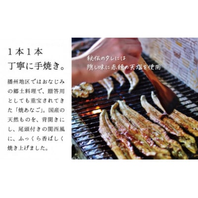 国産天然焼穴子(約200g)
