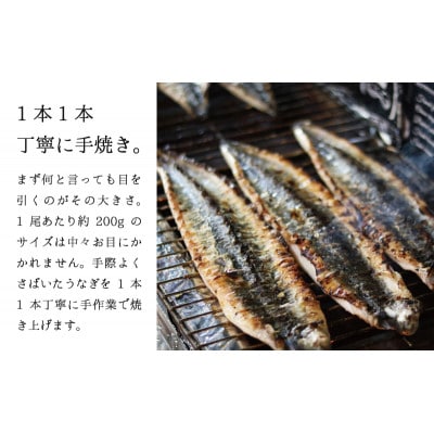 ★2尾で勝負!ふんわり手焼き国産うなぎ(約200g)×2尾★隠し味の赤穂の天塩も効いてます!