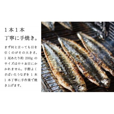 ★1尾で勝負!ふんわり手焼き国産うなぎ(約200g)★隠し味の赤穂の天塩も効いてます!