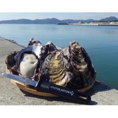 坂越産生牡蠣殻付き20個　牡蠣ナイフ・軍手付　サムライオイスター　生食用