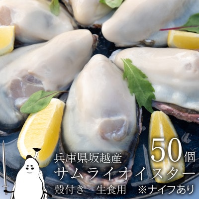 坂越産生牡蠣殻付き50個　牡蠣ナイフ・軍手付き　サムライオイスター　生食用