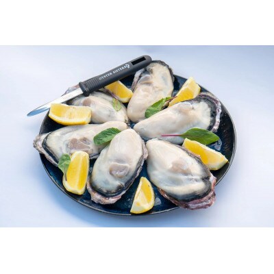 坂越産生牡蠣殻付き50個　牡蠣ナイフ・軍手付き　サムライオイスター　生食用