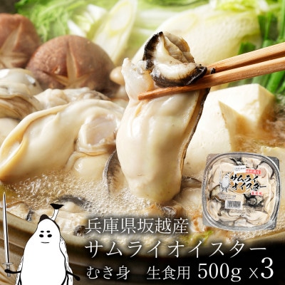坂越産　生牡蠣むき身500g×3パック　サムライオイスター　生食用