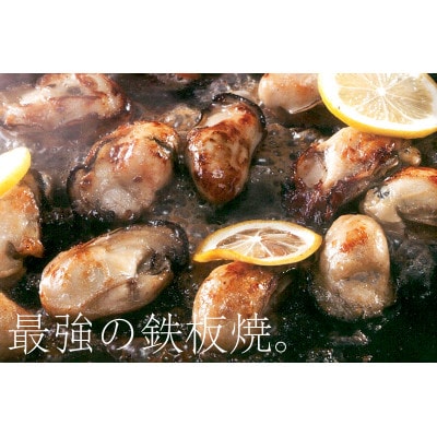 坂越産　生牡蠣むき身500g×4パック　サムライオイスター　生食用