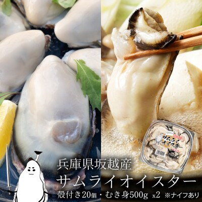 坂越産 むき身 500g×2、 殻付き 20個　牡蠣ナイフ・軍手付　サムライオイスター　生食用