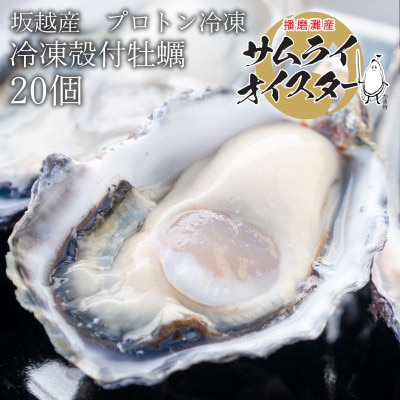 坂越かき【冷凍】殻付き(加熱用)　サムライオイスター　20個