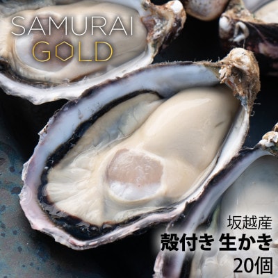 サムライゴールド　坂越産　殻付き生牡蠣　20個