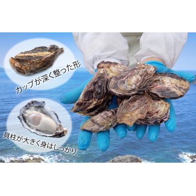 サムライゴールド　坂越産　殻付き生牡蠣　30個