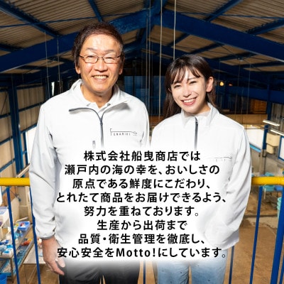 サムライゴールド　坂越産　殻付き生牡蠣　40個