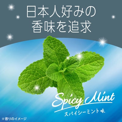 【最短当日発送】モンダミン スパイシーミント1000mL  1セット(3本:1本×3)