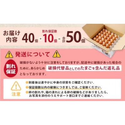 赤穂の源　50個(40個+割れ保証10個)25個×2パック
