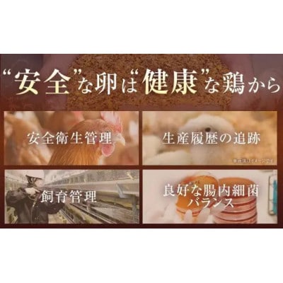 赤穂の源　50個(40個+割れ保証10個)25個×2パック