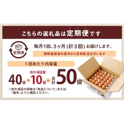 【毎月定期便】赤穂の源 50個(40個+割れ保証10個)25個×2パック全3回