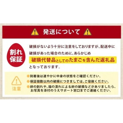 【毎月定期便】赤穂の源 50個(40個+割れ保証10個)25個×2パック全3回
