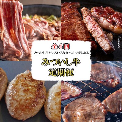 <定期便4回> 北海道産 黒毛和牛 みついし牛 食べ比べ定期便
