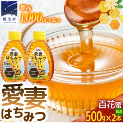 愛妻はちみつ(百花)500g×2個セット