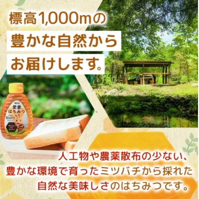 嬬恋村 愛妻はちみつ ( アカシア ) 500g×2個セット
