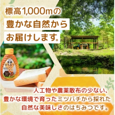 嬬恋村 愛妻はちみつ ( アカシア ) 250g×2個セット