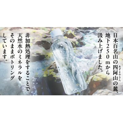 【毎月定期便】嬬恋の天然水310ml×30本入全12回