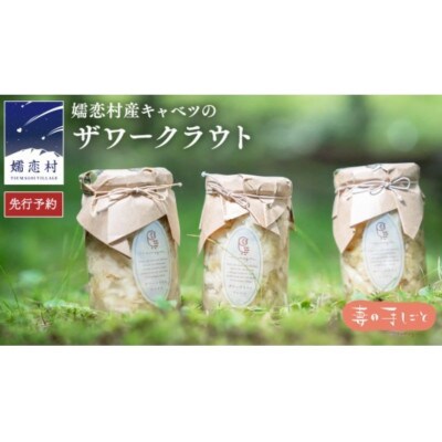 農家のこだわり手しごと!嬬恋産キャベツの乳酸発酵ザワークラウト3種食べ比べセット(各100g)