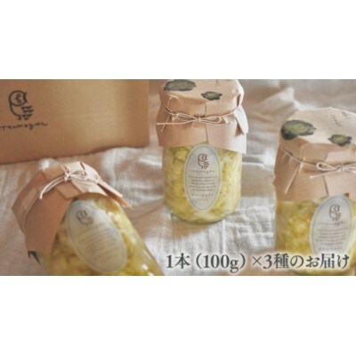 農家のこだわり手しごと!嬬恋産キャベツの乳酸発酵ザワークラウト3種食べ比べセット(各100g)