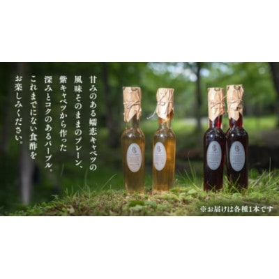 【お歳暮熨斗付】冬の身体を労る健康の贈り物。嬬恋産キャベツ100%の熟成「キャベツ酢」2種セット