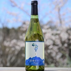 【化粧箱入り】八ヶ岳はらむらワイナリー 星降るワイン Blanc 1本 | ふるさと納税のお礼品