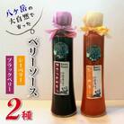 八ヶ岳の大自然で育ったブラックベリー&シーベリーソース2本セット