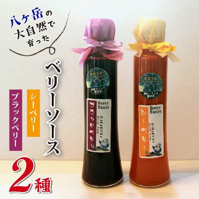 八ヶ岳の大自然で育ったブラックベリー&シーベリーソース2本セット