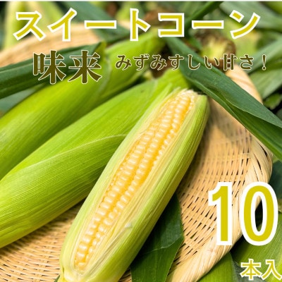 【2024年8月より順次発送!】信州産　生も旨い!スイートコーン10本入り