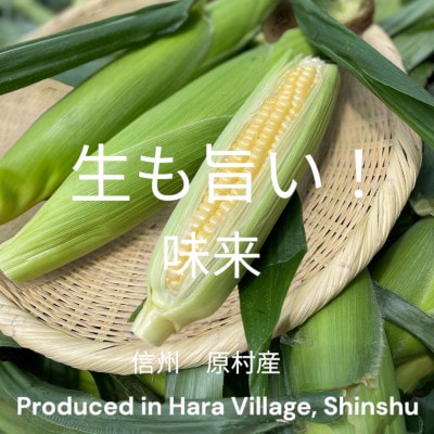 【2025年8月より順次発送!】信州産　生も旨い!スイートコーン10本入り