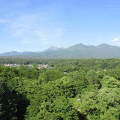 【国産非加熱はちみつ】八ヶ岳百花蜜&八ケ岳くり蜜　計2本セット(600g×各1本)