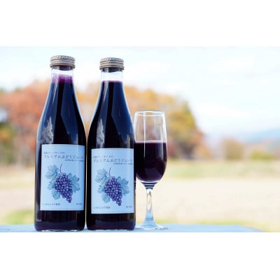 八ヶ岳高原プレミアム大人のぶどうジュースメルロー 720ml×2本
