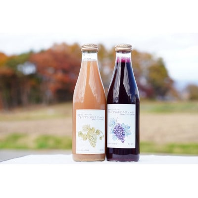 八ヶ岳高原プレミアム大人のぶどうジュースメルロー 720ml×2本