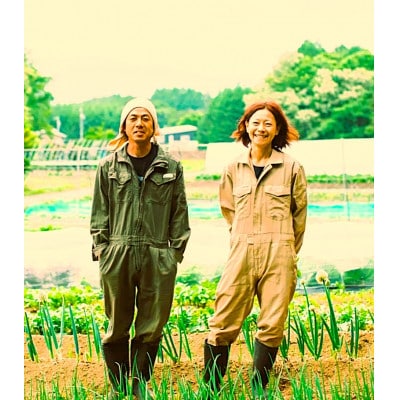 【先行受付】朝採りとうもろこし10本～15本(約4kg)