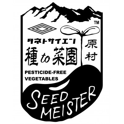 朝採りとうもろこし10本～15本前後(約4kg)