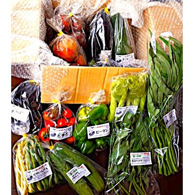 季節の野菜セット(Mサイズ)