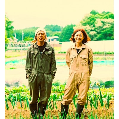 季節の野菜セット(Lサイズ)