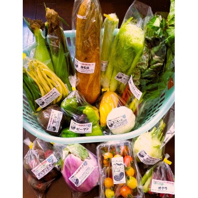 季節の変り野菜セット(Mサイズ)