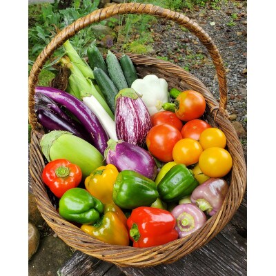 季節の変り野菜セット(Mサイズ)