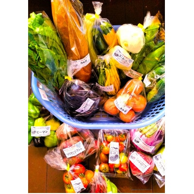 季節の変り野菜セット(Lサイズ)