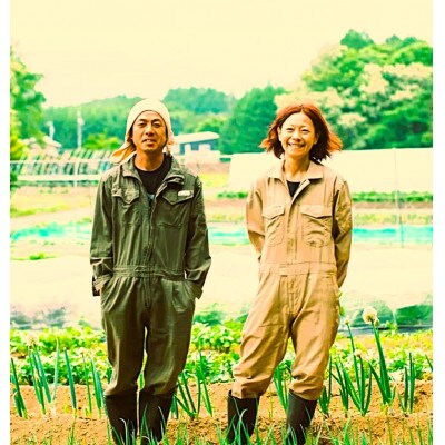 季節の変り野菜セット(Lサイズ)