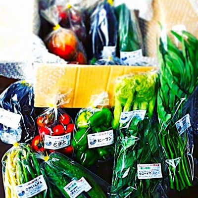 【先行受付】季節の野菜セット(Lサイズ)