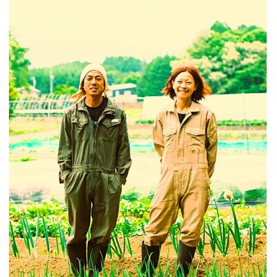 【先行受付】季節の野菜セット(Lサイズ)